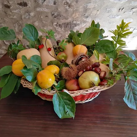 Rosati Feriegård Orvieto