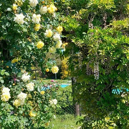 בית חווה Rosati אורביאטו