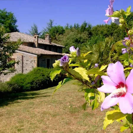 Rosati Alojamento de Turismo Rural *
