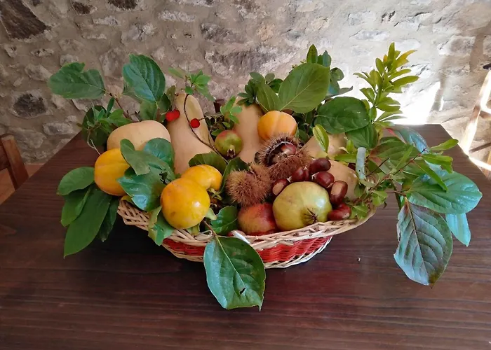 Rosati Farma Orvieto