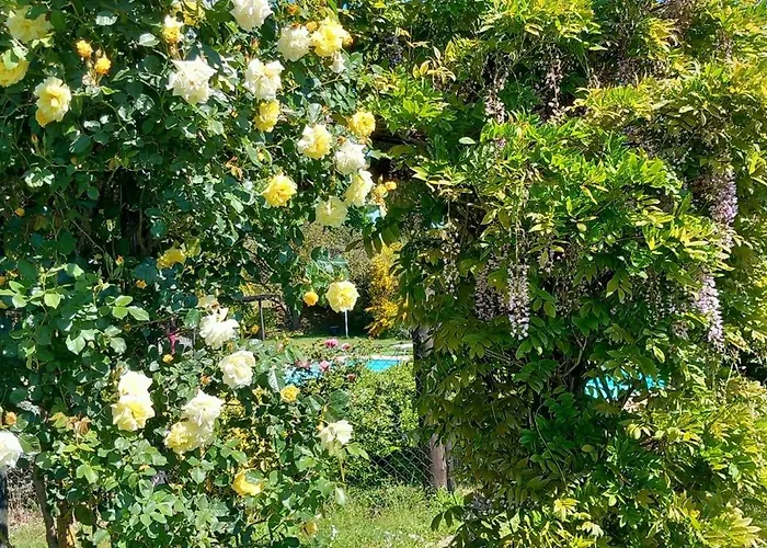 팜스테이 Rosati 오르비에토