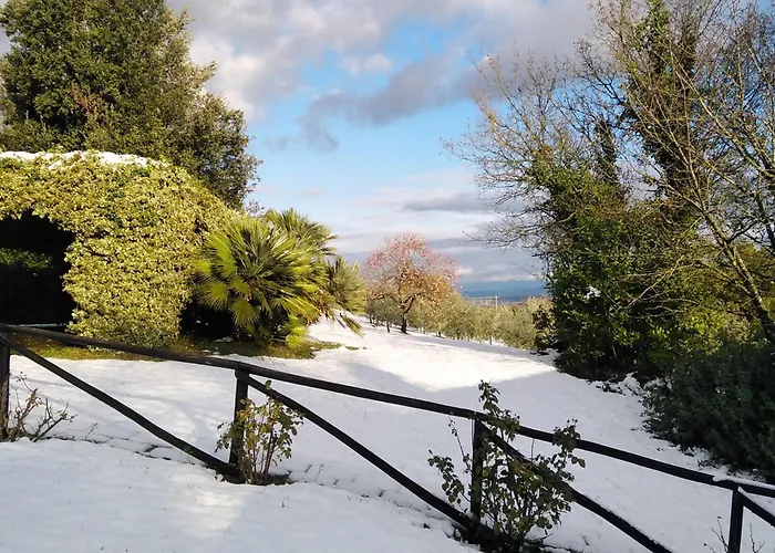 팜스테이 Rosati *